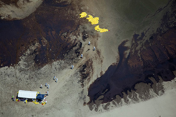 24 hours in pictures: Crews try to clean an island covered in oil on the south part of East Bay