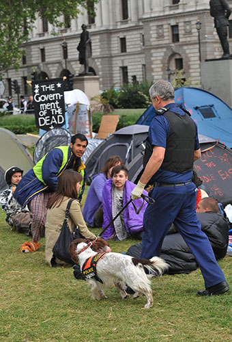 state opening: Police search democracy camp in Parliament Square