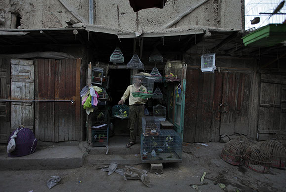 24 hours in pictures: Kabul, Afghanistan: A trader stows away cages with birds