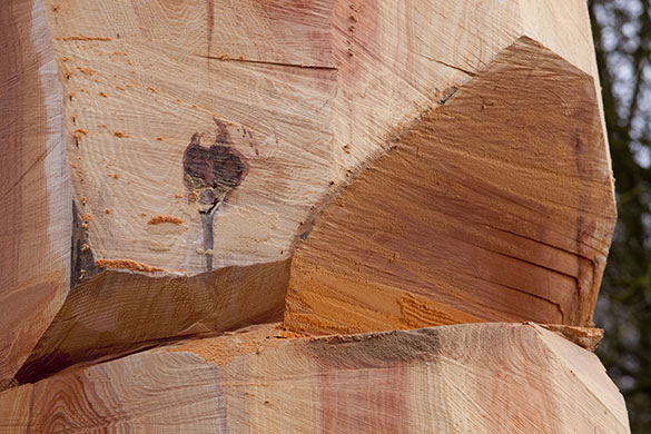 David Nash: David Nash