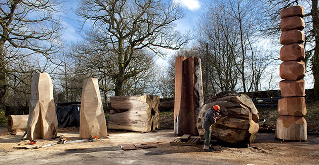 David Nash: David Nash