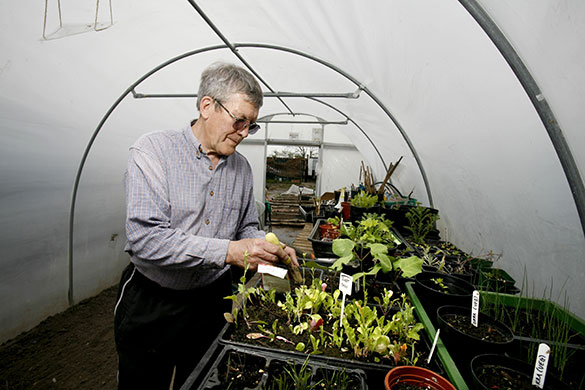 BTCV: BTCV Volunteer with seedlings