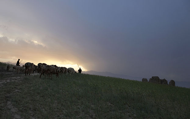 24 hours in pictures: Kabul, Afghanistan: Goat herders belonging to the Kuchi nomadic tribe