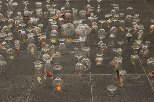 Exhibitionist 2905: Madein