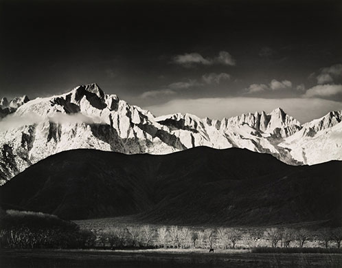 Polaroid Collection: Ansel Adams print