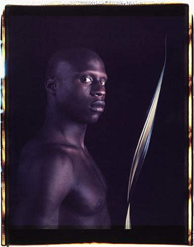 Polaroid Collection: Ken Moody (with Palm Leaf)