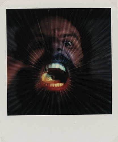 Polaroid Collection: Photo-Transformation