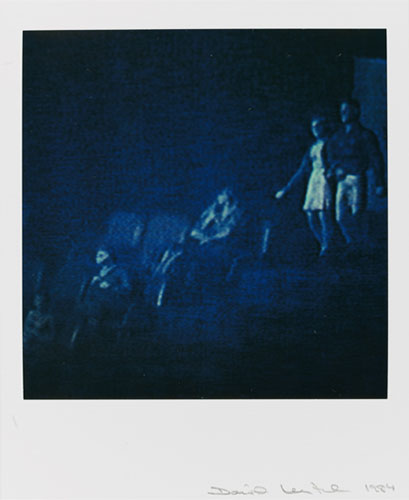 Polaroid Collection: Study from Modern Romance