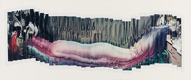 Polaroid Collection: Lucas Samaras Panorama