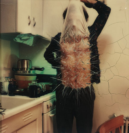 Polaroid Collection: Photo-Transformation