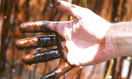 Oil spill: hand