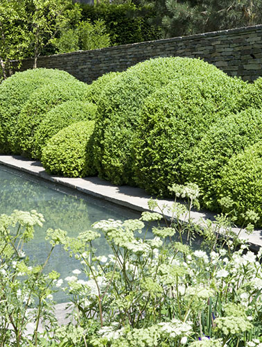 Chelsea Flower show: Laurent-Perrier garden