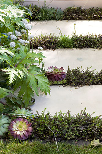 Chelsea Flower show: Tom Hoblyn’s lively planting mixtures