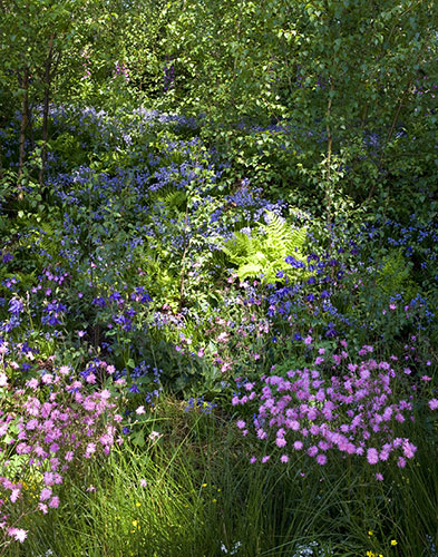 Chelsea Flower show: Hesco garden for Leeds City Council