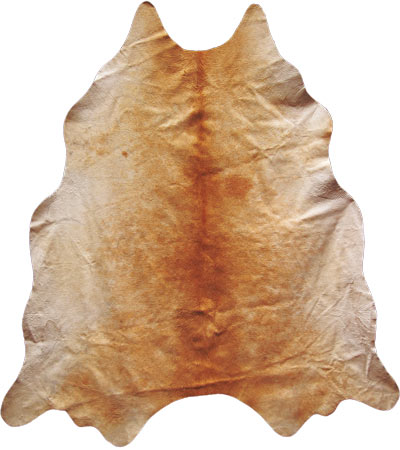 Out of Africa: Cowhide rug