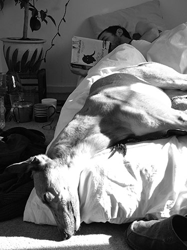 in pictures: morning: Man and dog in bed