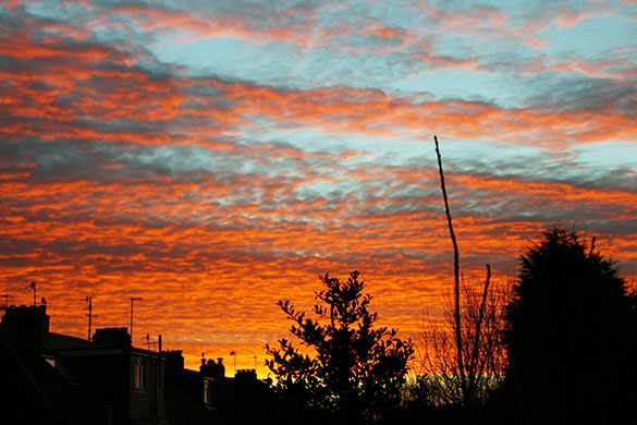 in pictures: morning: Sunrise over houses in the UK