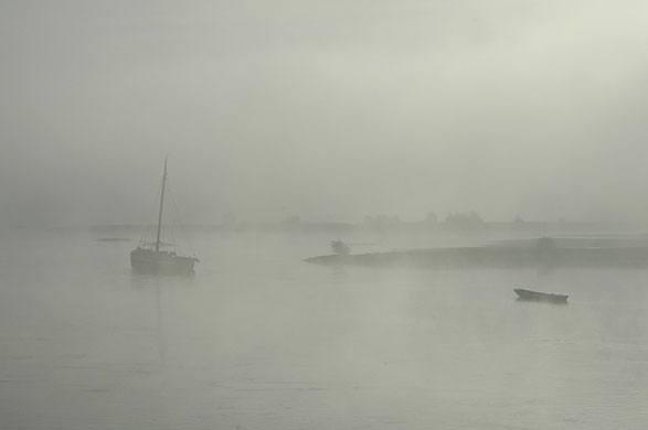 in pictures: morning: Morning Mist on the Loire