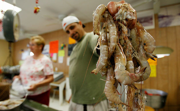 Deepwater Horizon oil rig: Massive Oil Spill Reaches Louisiana Gulf Coast
