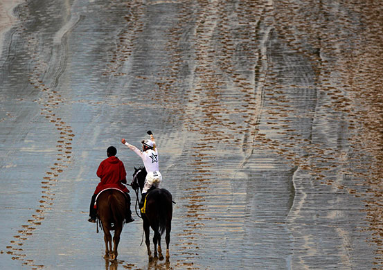kentucky derby: racing