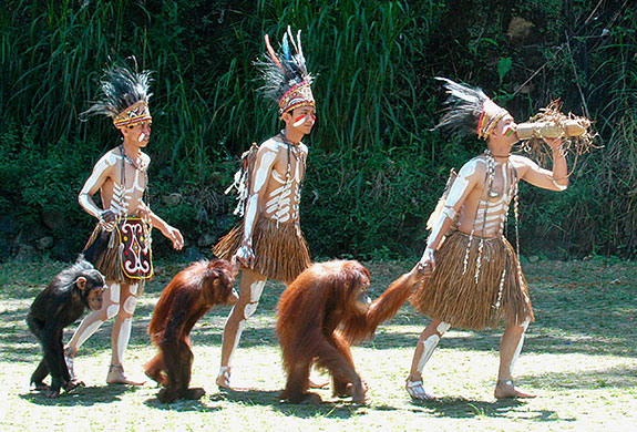 Friends of the Earth: Photo competition