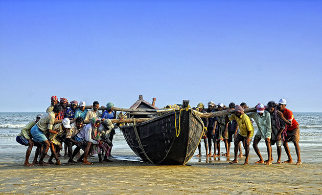 Friends of the Earth: Photo competition