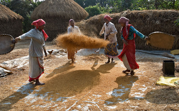 Friends of the Earth: Photo competition