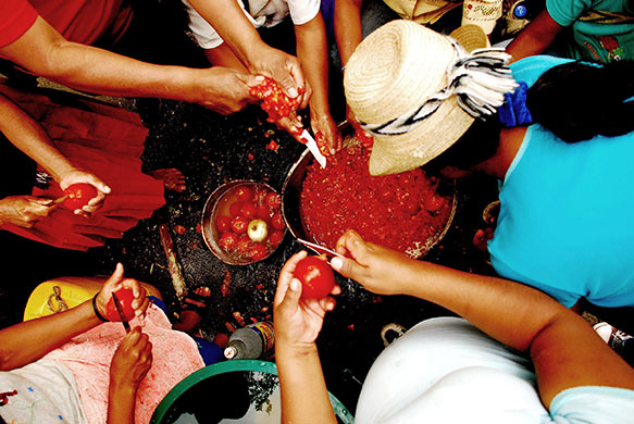 Friends of the Earth: Photo competition