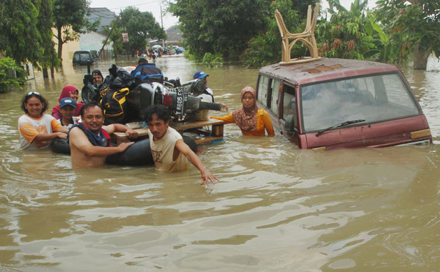 Friends of the Earth: Photo competition