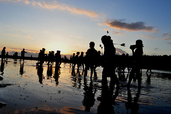 Friends of the Earth: Photo competition