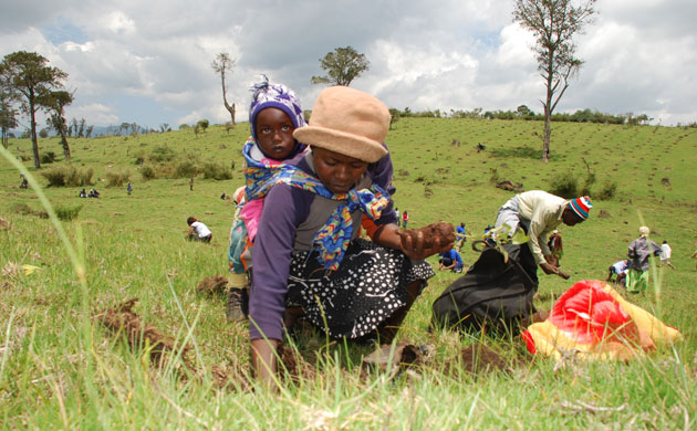 Friends of the Earth: Photo competition