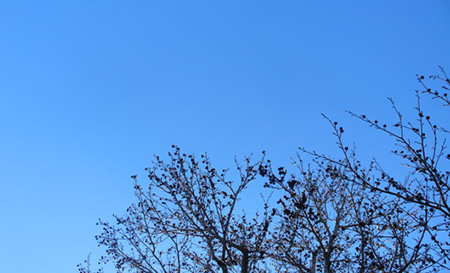 show and tell: Shannyn: blue sky