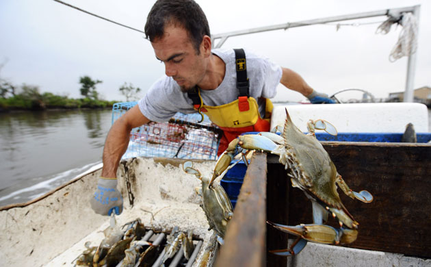 Deepwater Horizon oil rig: Oil spill : : Local fishermen