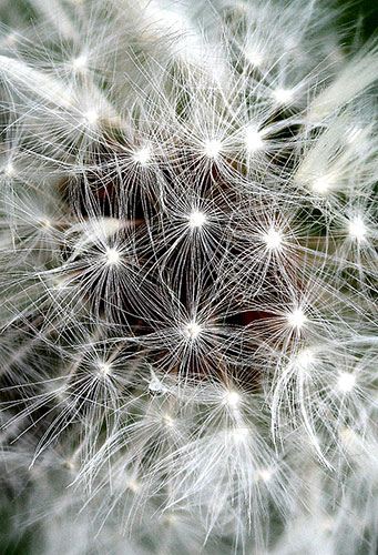 Camera Club: Maxine Moss participates in the graphic shapes monthly assignment