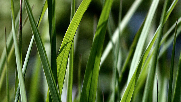 Camera Club: Maxine Moss participates in the graphic shapes monthly assignment