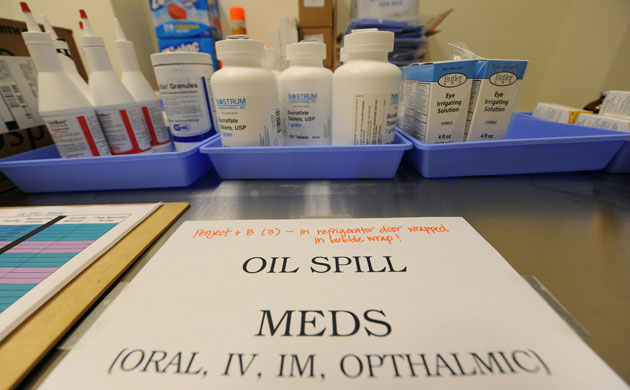 Deepwater Horizon oil rig: Oil spill reaches Louisiana coast : Extra medical supplies 