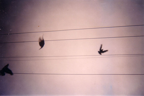 Camera Club: A review of Josh Thornton's portfolio