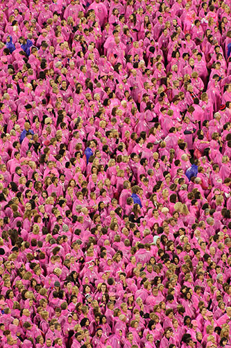 24 hours in pictures: 2010 Field of Women at the Melbourne Cricket Ground