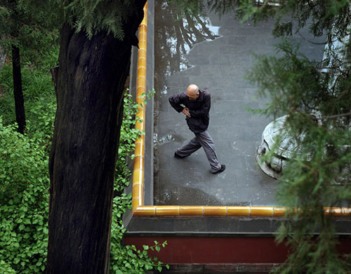 Garden Photographer: View of the roofs of the Forbidden City from Beihai Park, Beijing