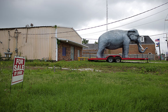 24 hours: New Orleans, USA: A plastic replica of an elephant on a trailer 