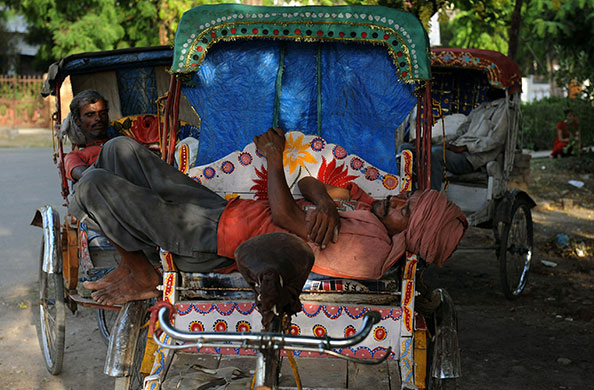 24 hours: Allahabad, India: A rickshaw puller rests under the shade of a tree