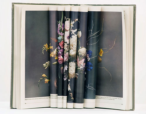 Exhibitionist 1206: Jim Hodges