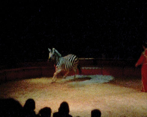 Exhibitionist 1206: Haris Epaminonda