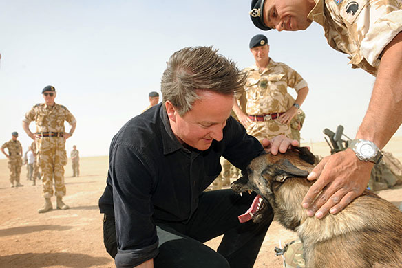 Cameron in Afghanistan: David Cameron meets Espen, an explosives detecting dog