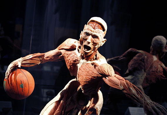 24 hours in pictures: 24 hours in pictures