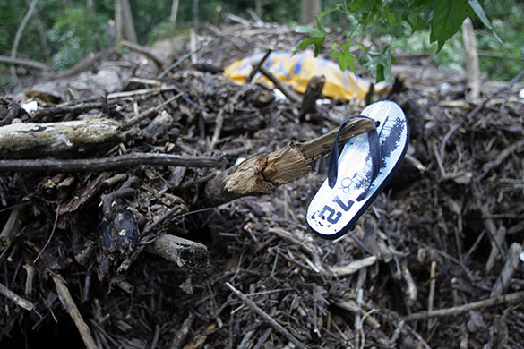 24 hours in pictures: Arkansas, US: A flip-flop hangs on a tree branch