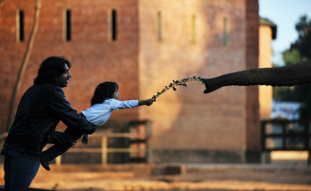 24 hours in pictures: Pretoria, South Africa: A boy feeds an elephant at the zoo