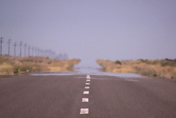 Francis Alys: Francis Alys