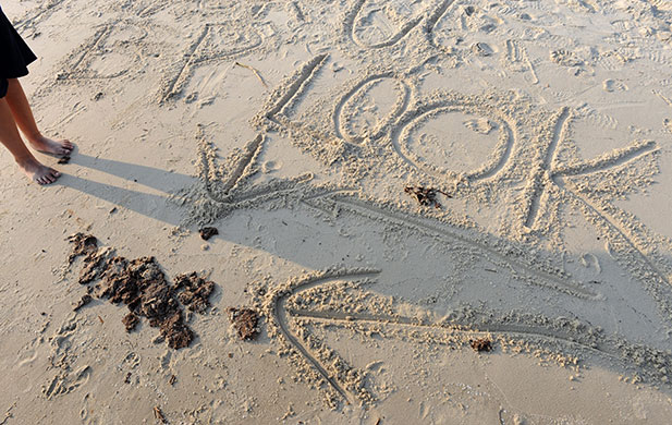 Deepwater Horizon: BP oil spill : protests, demonstrations and signs