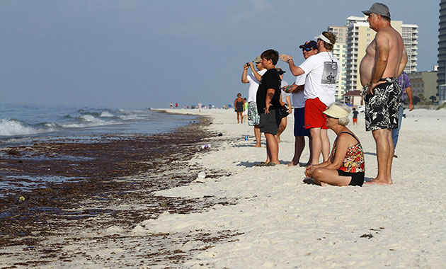 Deepwater Horizon: BP oil spill : protests, demonstrations and signs